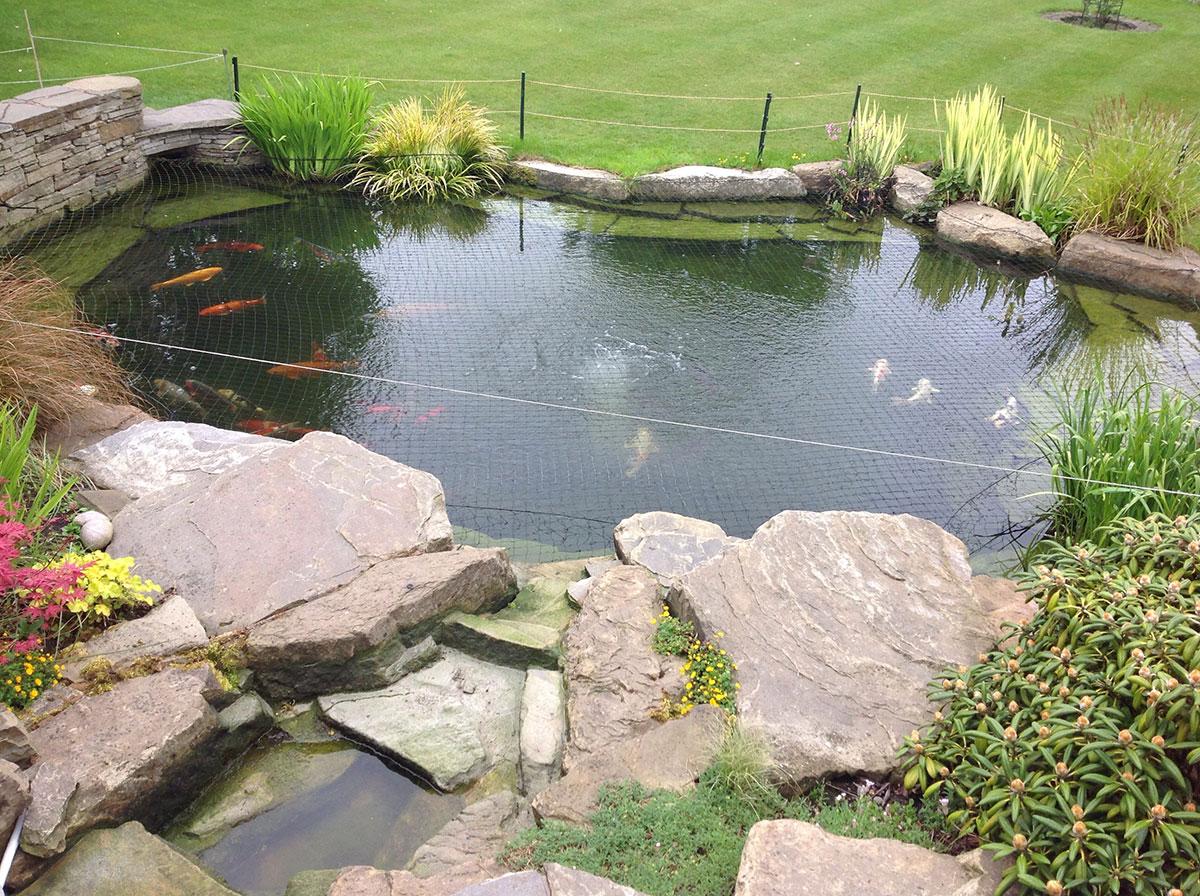 Mini digger hire in Harlow for pond excavation and groundworks