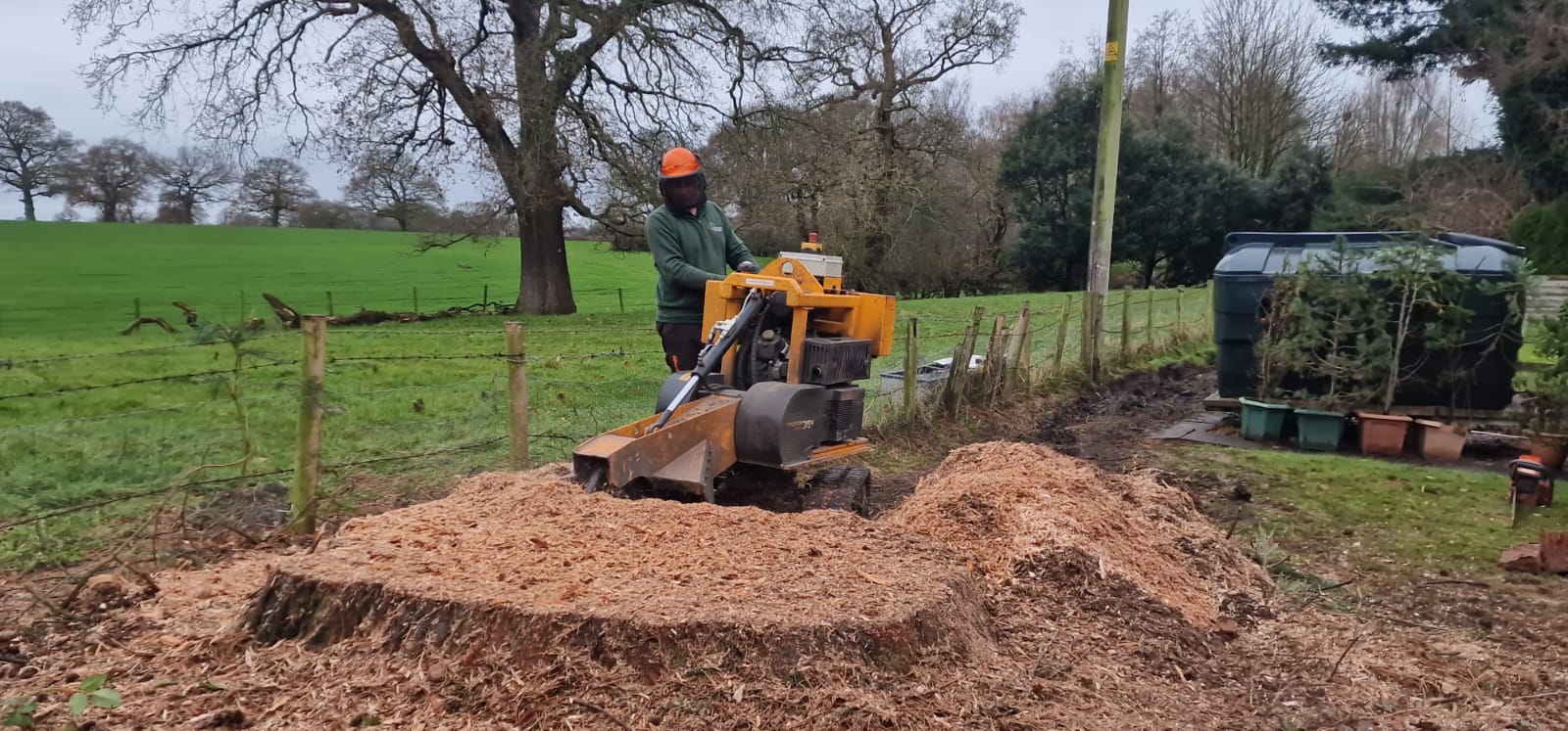 Tree stump removal service in Harlow with grinding machine